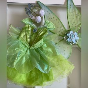 Disney Tinkerbell Costume